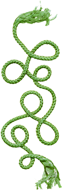 Rope Hemp Green Clip Art - Rope Hemp Green Clip Art (760x803)
