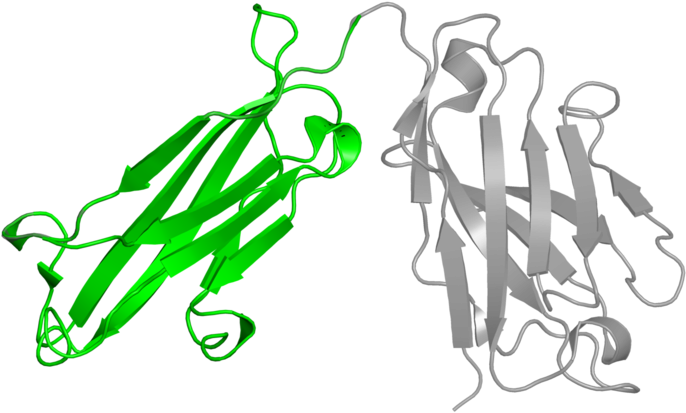<div Class='caption-body'>2 Copies Of Scop Domain < - Graphic Design (800x800)