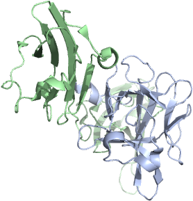 1nun - Illustration (640x480)