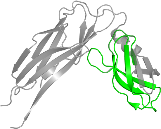 <div Class='caption-body'>1 Copy Of Pfam Domain - Illustration (800x800)