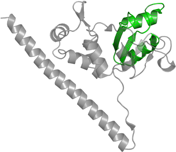 <div Class='caption-body'>1 Copy Of Pfam Domain < - Chain (800x800)