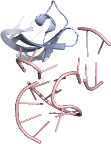 Illustration (640x480)