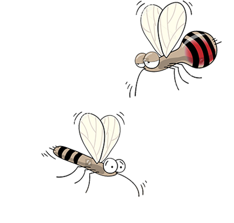 Mosquito Euclidean Vector Illustration - Mosquito Euclidean Vector Illustration (500x533)