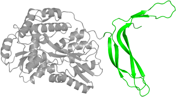 <div Class='caption-body'>1 Copy Of Pfam Domain < - Illustration (800x800)