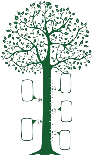 Tree Photography Clip Art - Tree Photography Clip Art (768x527)