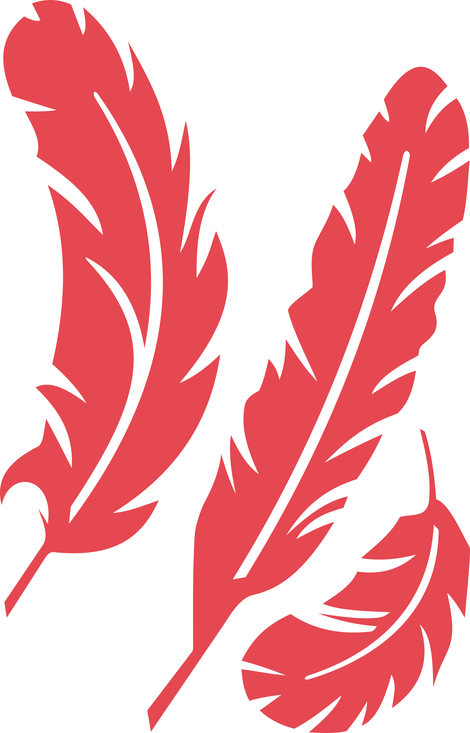 Red Feathers By @cyberscooty, 3 Red Feathers, On @openclipart - Red Feather Clip Art (1539x2400)