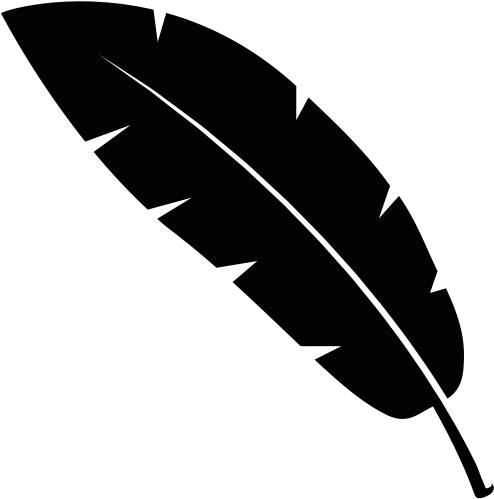 Feather-icon - Feather Icon Png (501x502)