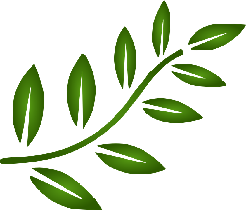 Gold Leaves Cliparts 9, Buy Clip Art - Leaf Branch Clip Art (842x720)