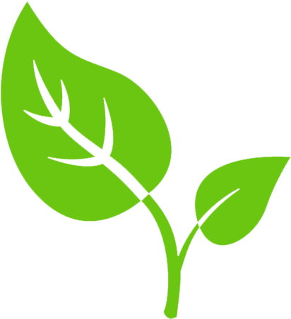 Graphics For Tobacco Leaf Graphics - Tobacco Leaf Icon Png (512x512)