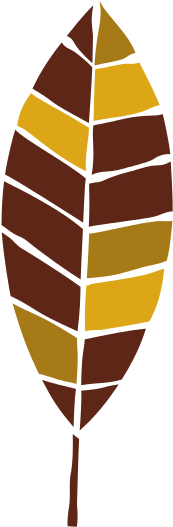 Bohemian Feather - Graphic Design (550x550)