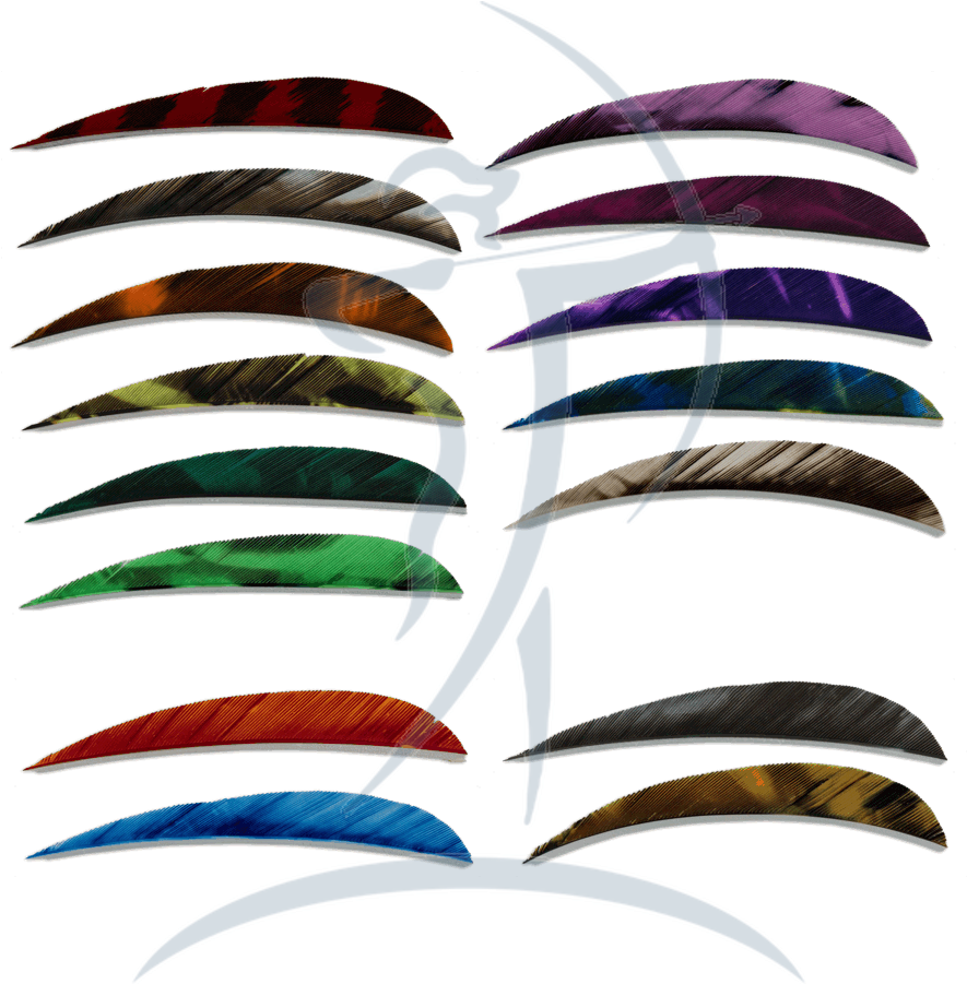 Ozark Feathers 3" Rw - Earrings (900x900)