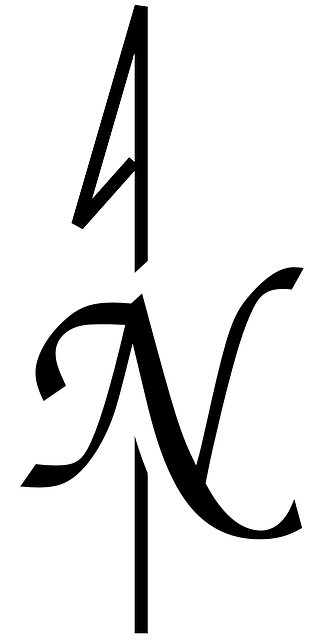 Black Simple Map Symbol North Arrow Magnetic Public - Simple Compass Rose (324x640)