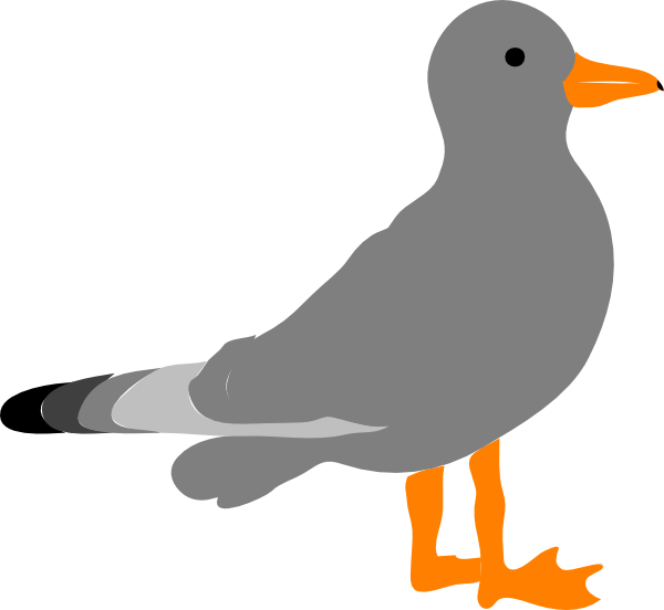 Sea Bird Clipart Seagull - Clip Art Gull (600x552)