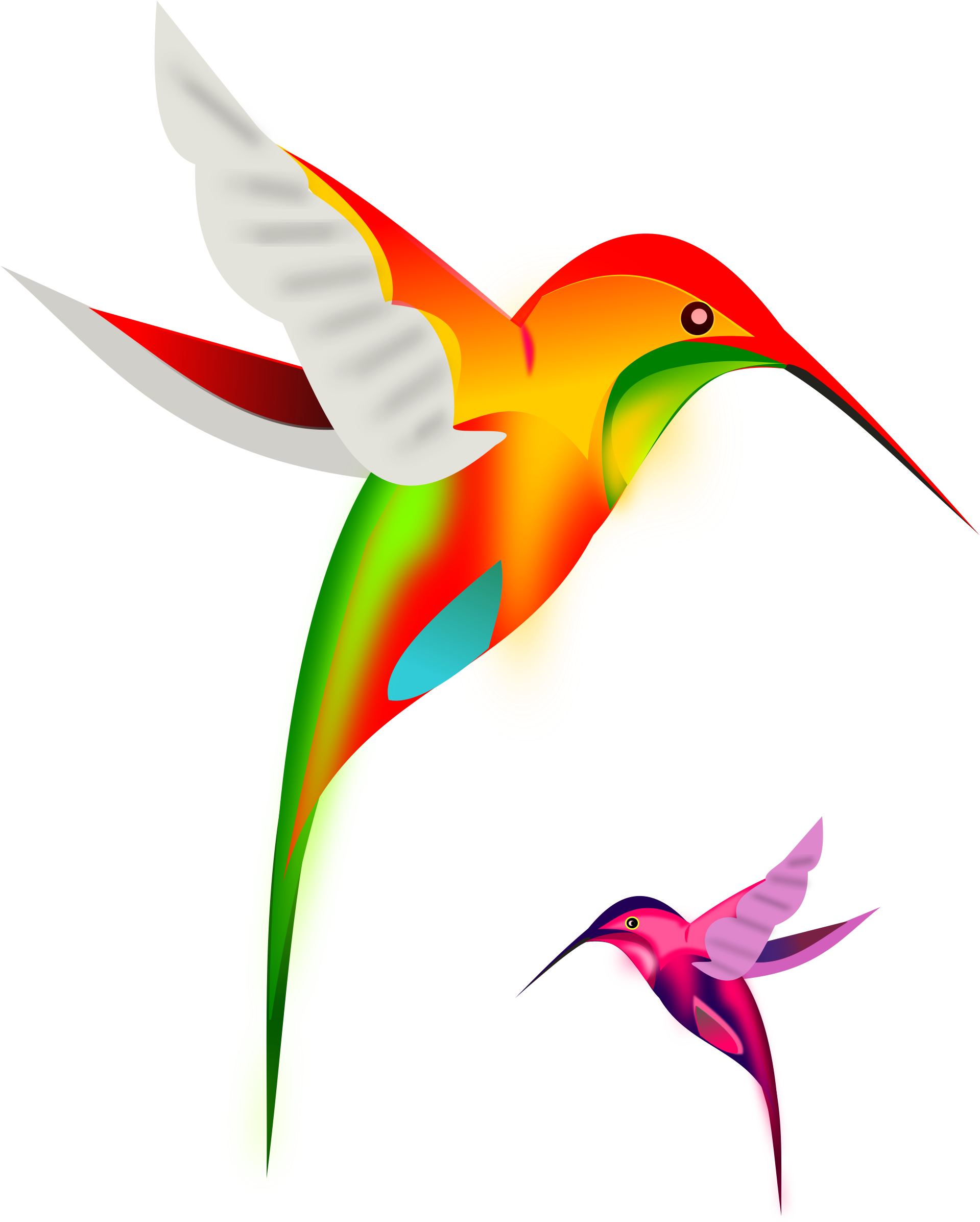 Medium Image - Colorful Bird Clip Art (1918x2400)