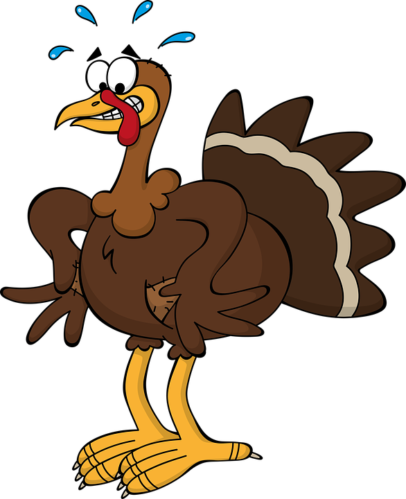 Funny Thanksgiving Clipart 9, - Clip Art Cartoon Turkey (586x720)