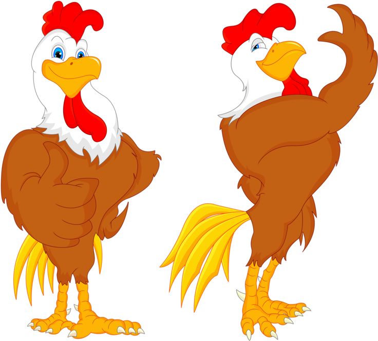 Best Funny Turkey Clipart Farm Birds Bird Images - Chicken Strong Cartoon (800x717)