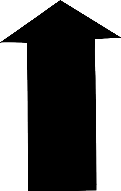 Black, Arrow, Shapes, Arrows, Shape - Shapes Arrow (404x640)