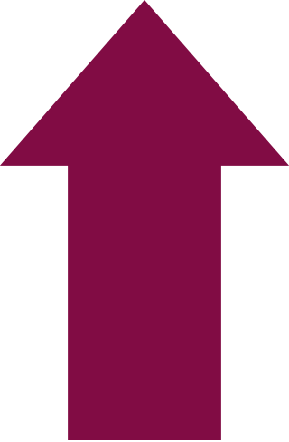 Arrow - Economy (320x488)
