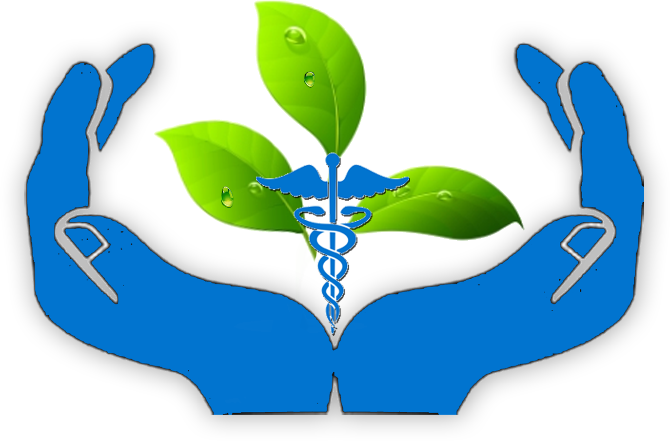 About Our Center Of Excellence - Open Hands Clip Art (2263x1675)