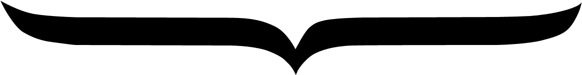 Black Arrow 3 - Heart (1165x276)