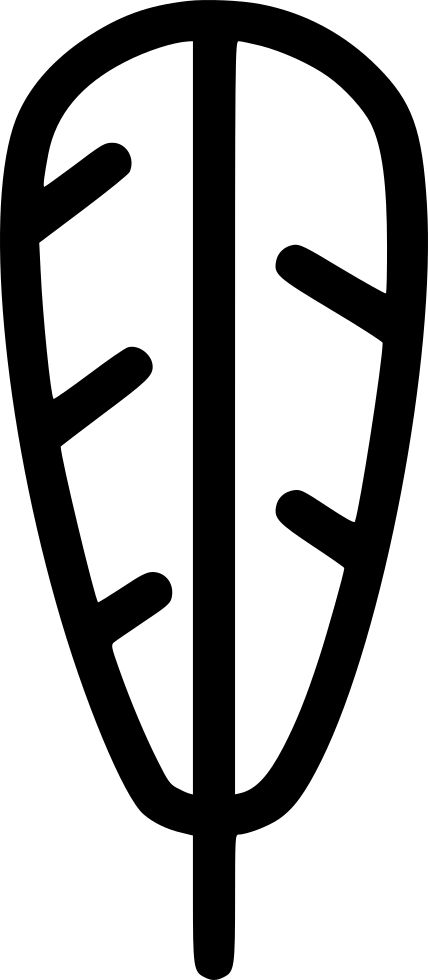 Turkey Eagle Feather Native American Comments - Eagle Feather Law (428x980)