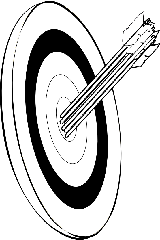 Arrows And Target Snarkhunter Arrows In The Gold Black - Black And White Archery (555x831)