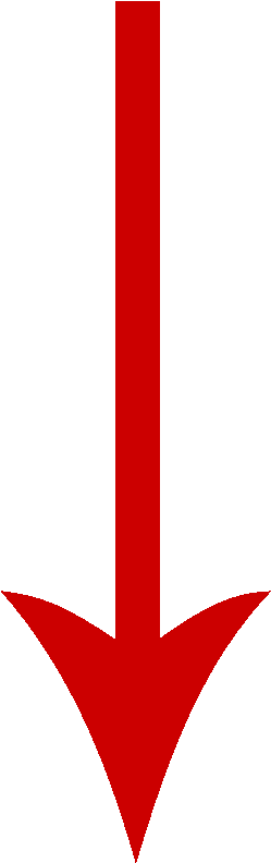Clip Arts Related To - Small Red Down Arrow (600x800)