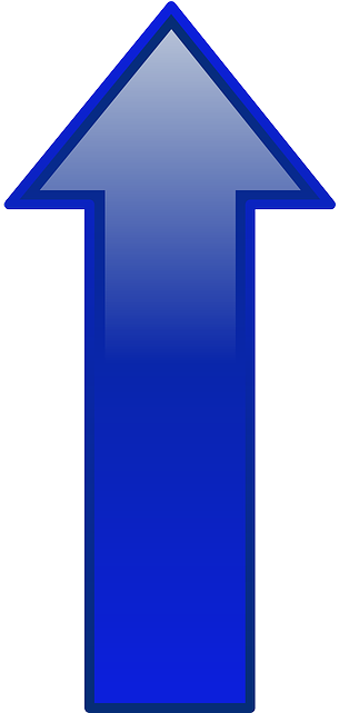 Park, Computer, Blue, Arrow, Cartoon, Shapes, Buttons - Blue Arrow Pointing Up (320x640)