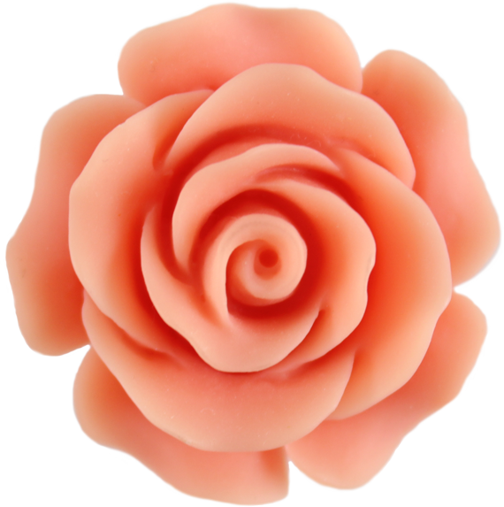 Peach Flower Clipart - Flower Border Peach Clipart (570x573)