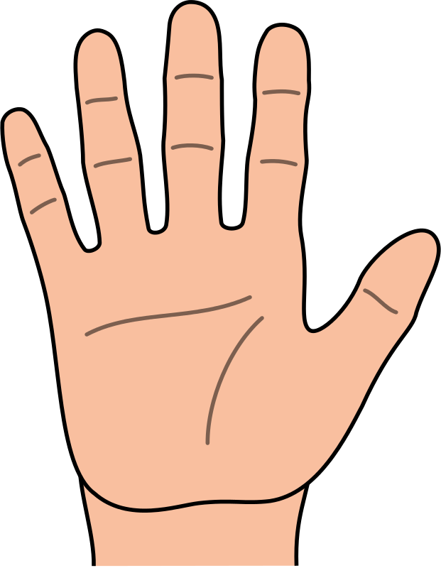 Clipart Hand - 手 卡通 圖案 - Full Size PNG Clipart Images Download