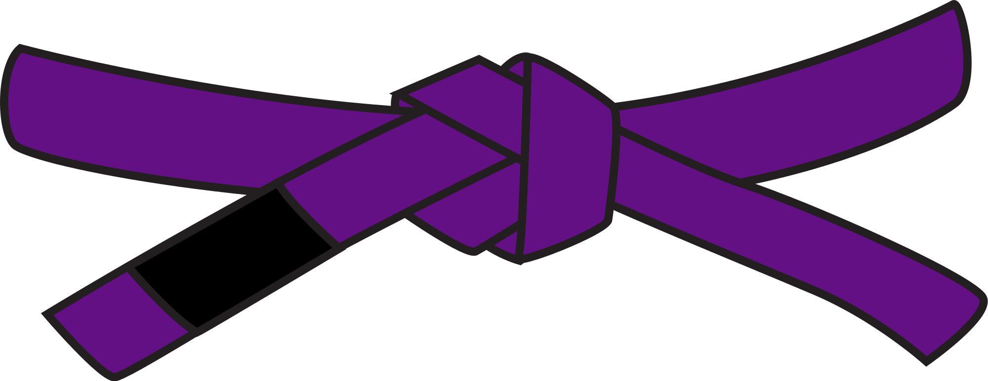 Purple Ribbon Clipart - Green Belt Jiu Jitsu (2000x772)