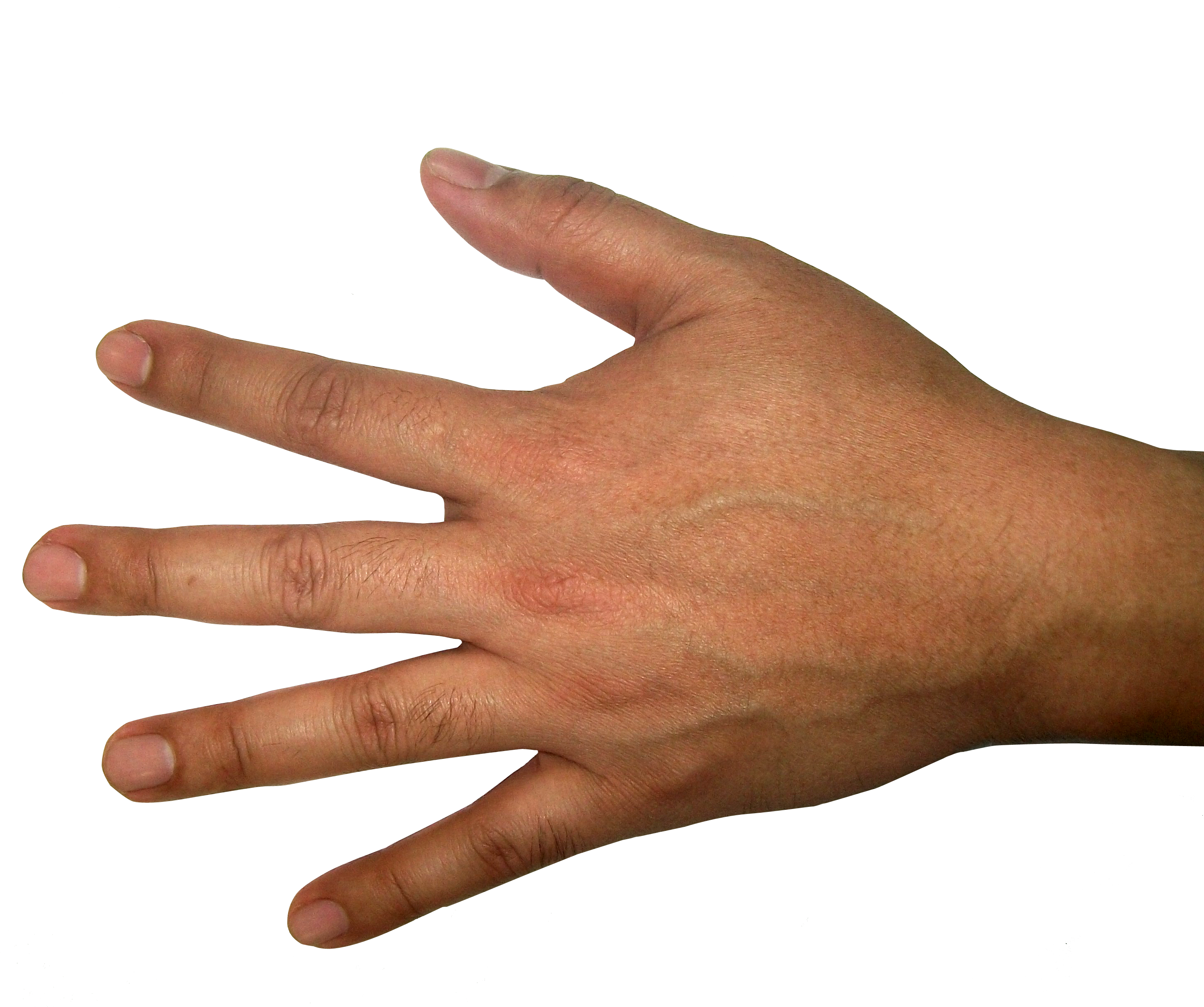 Images Of Hands - Sign Language (3264x2448)
