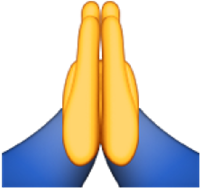 What Do All The Hand Emojis Mean Or - Person With Folded Hands Emoji (740x740)