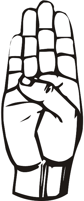 Sign, Outline, Hand, Speech, Language, Talk - Letter B Sign Language (320x640)