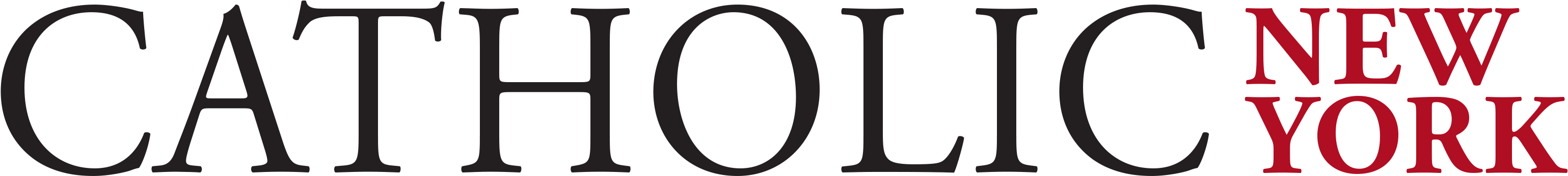 America's Largest Catholic Newspaper - Pontifical Catholic University Of Argentina (3109x372)