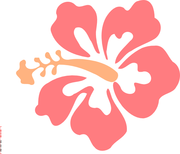Hibiscus Clipart (600x513)