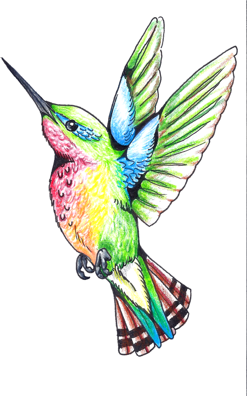 Hummingbird Tattoos Png Clipart - Hummingbird (900x1355)