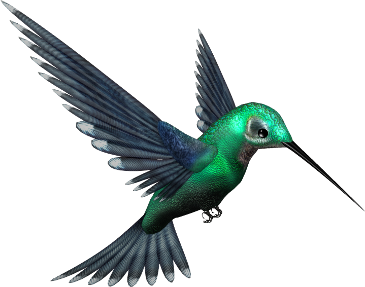 Hummingbird Free Download Png - Humming Bird Png (719x566)