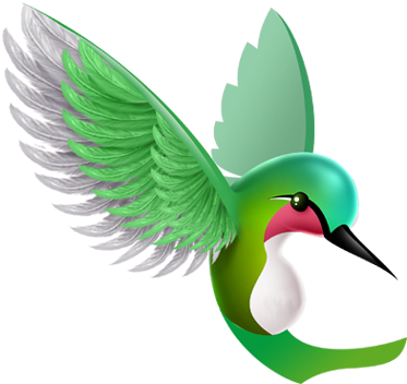 Though Spring Came To My Area Many Weeks Ago, I Saw - Hummingbirds Clip Art (380x392)