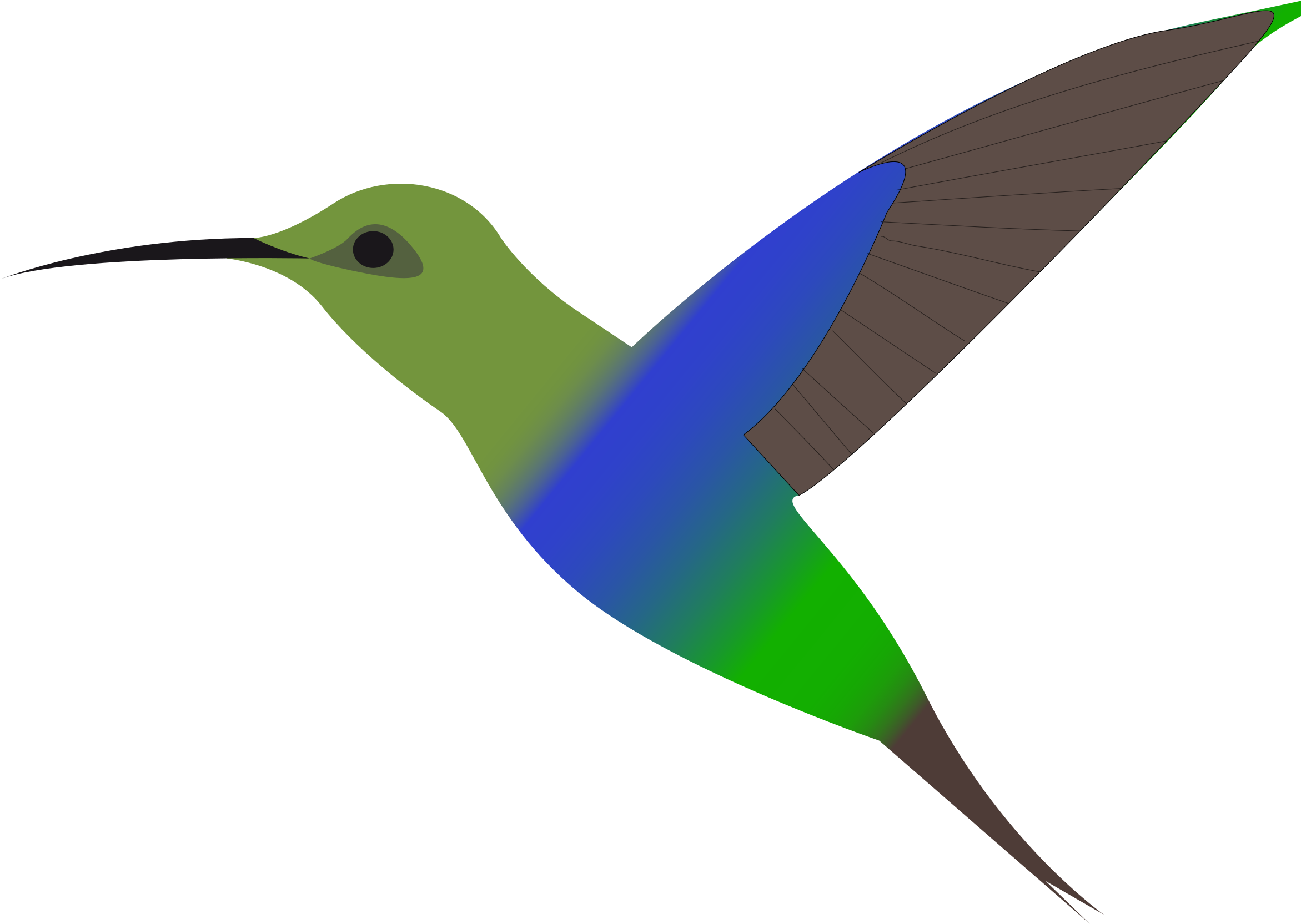 Clipart Humming Bird Hummingbird Clipart - Desenho De Beija Flor Colorido (2400x1731)