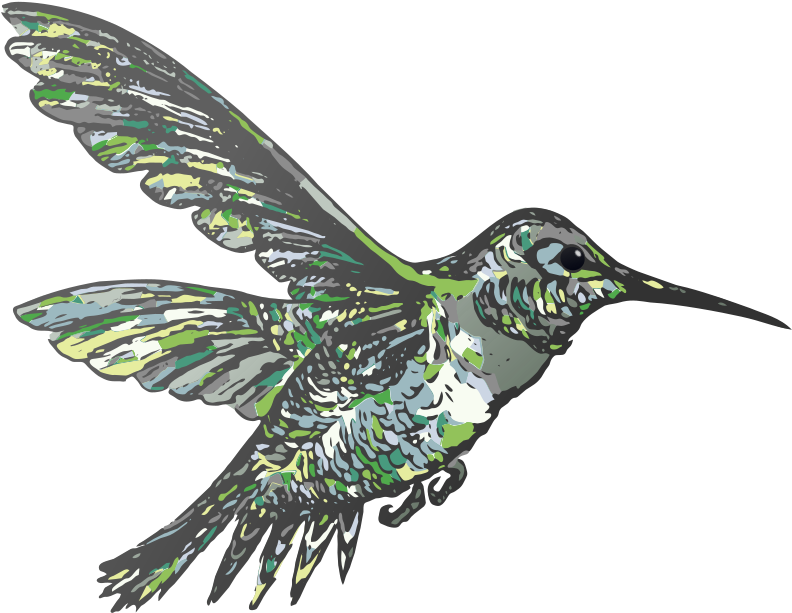 Httpwwwpageinsidercom - Httpwwwpageinsidercom - Hummingbird (1000x731)