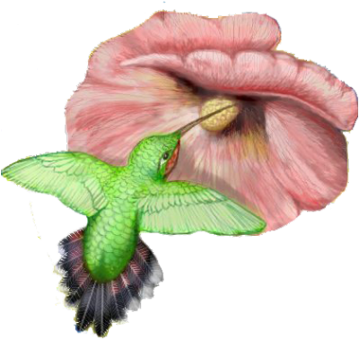 Photo Hummingbird Tattoos Clipart Png Images - Hummingbird (400x400)