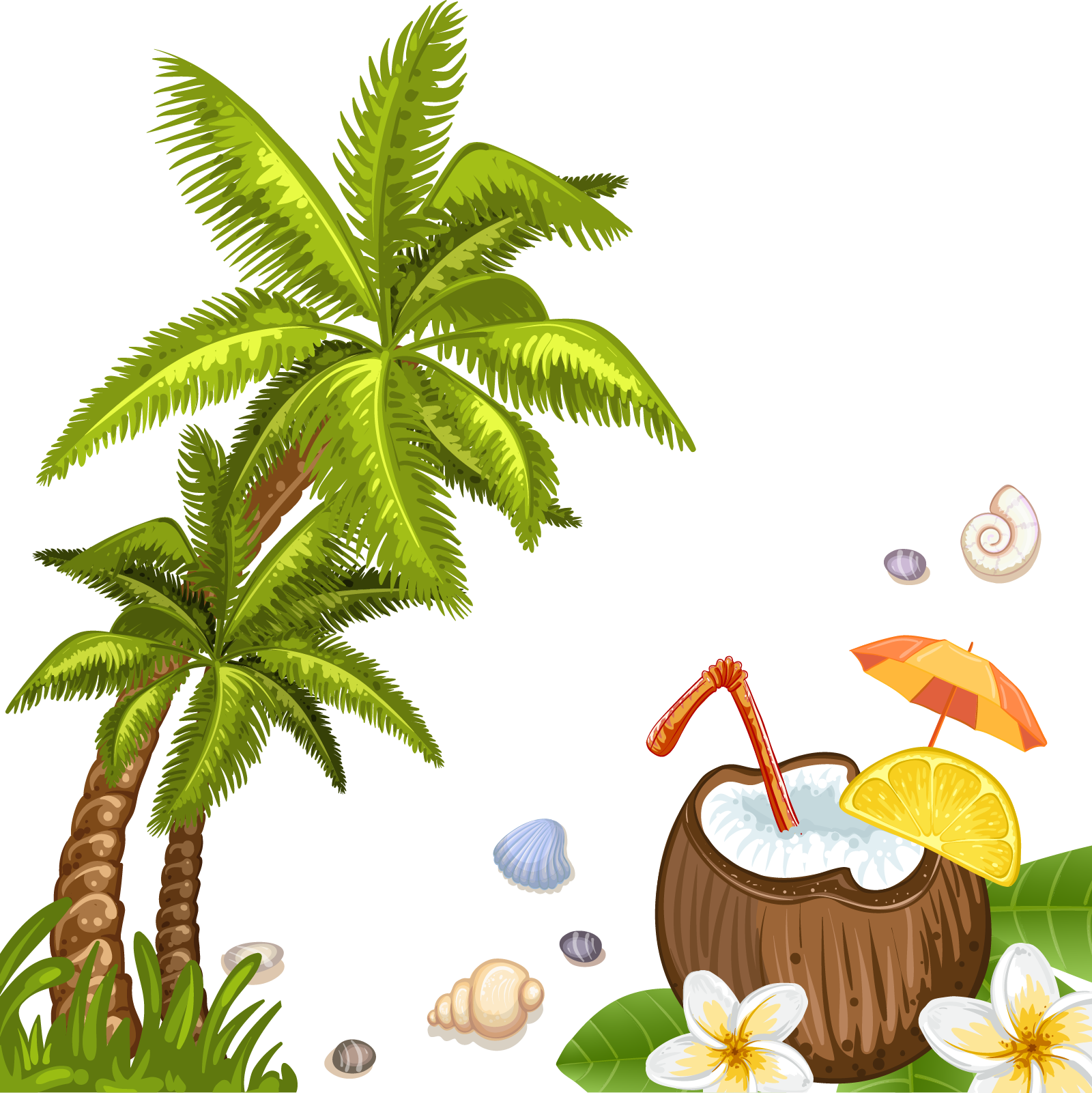 Coconut Water Beach Arecaceae - Summer Beach Background Clipart (1600x1601)