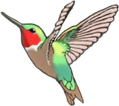 Hummingbird Tattoos Cut Out Png Images - Ruby-throated Hummingbird (400x349)