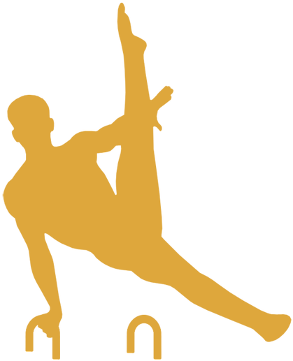 La Gymnastique Artistique Masculine Est Une Discipline - Neuville-sur-saône (459x543)