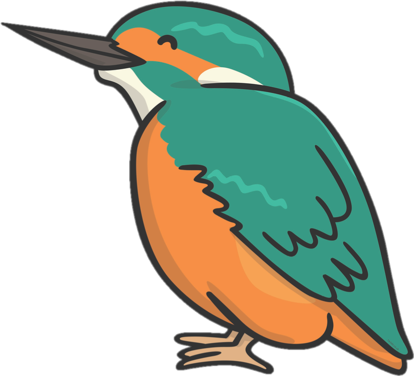 Kingfisher - Kingfisher Twinkl (921x802)