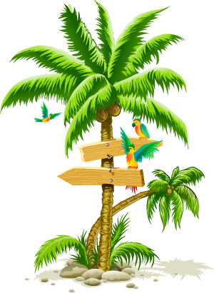 Beach Coconut Tree Png (300x411)