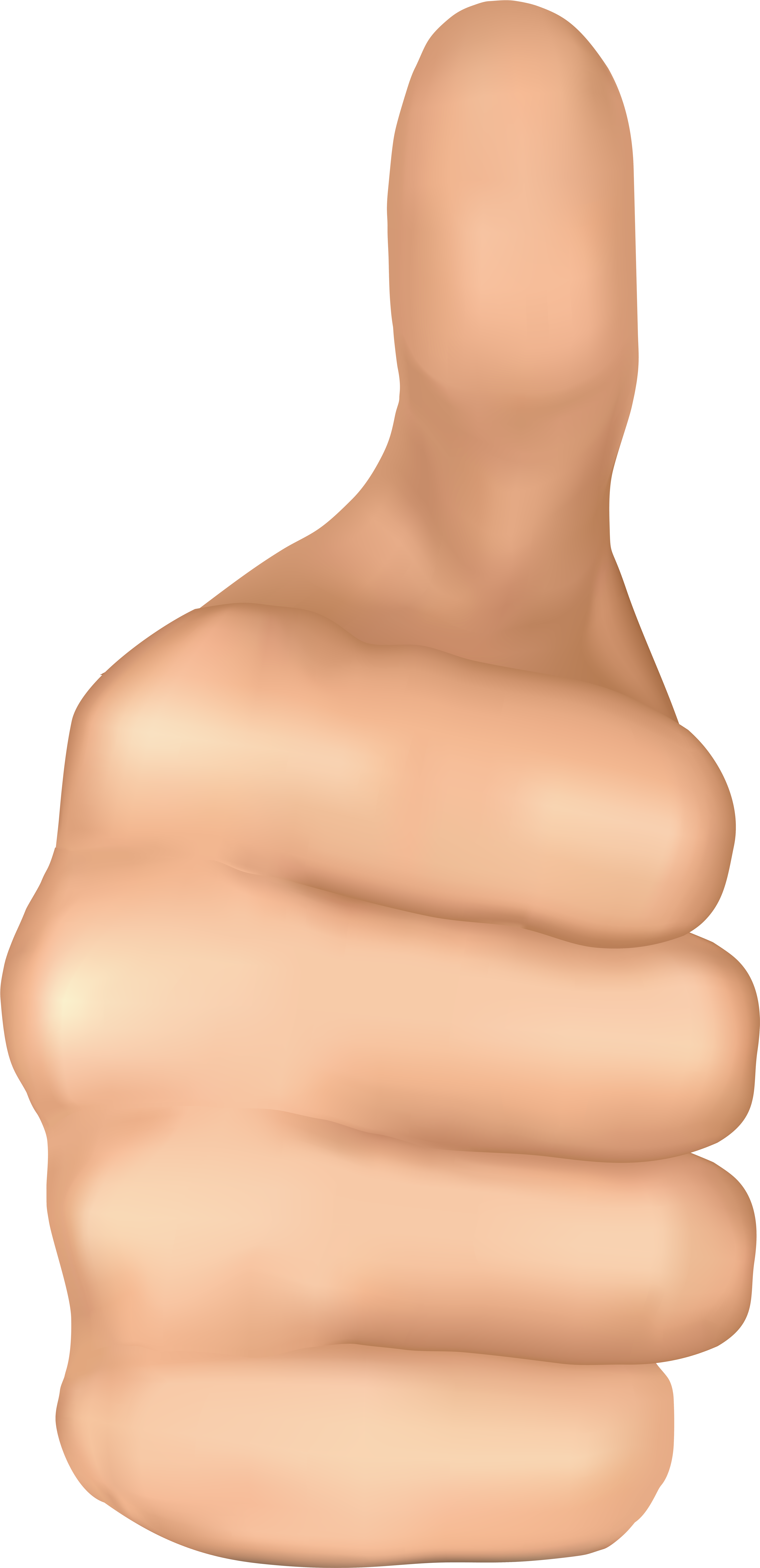 Thumbs Up Hand Png Clip Art - Mannequin (4100x8000)