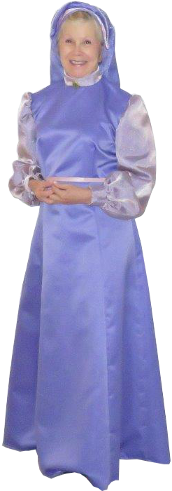 Maid Marian Fairy Tinker Bell Brave - Lady Marian (246x700)