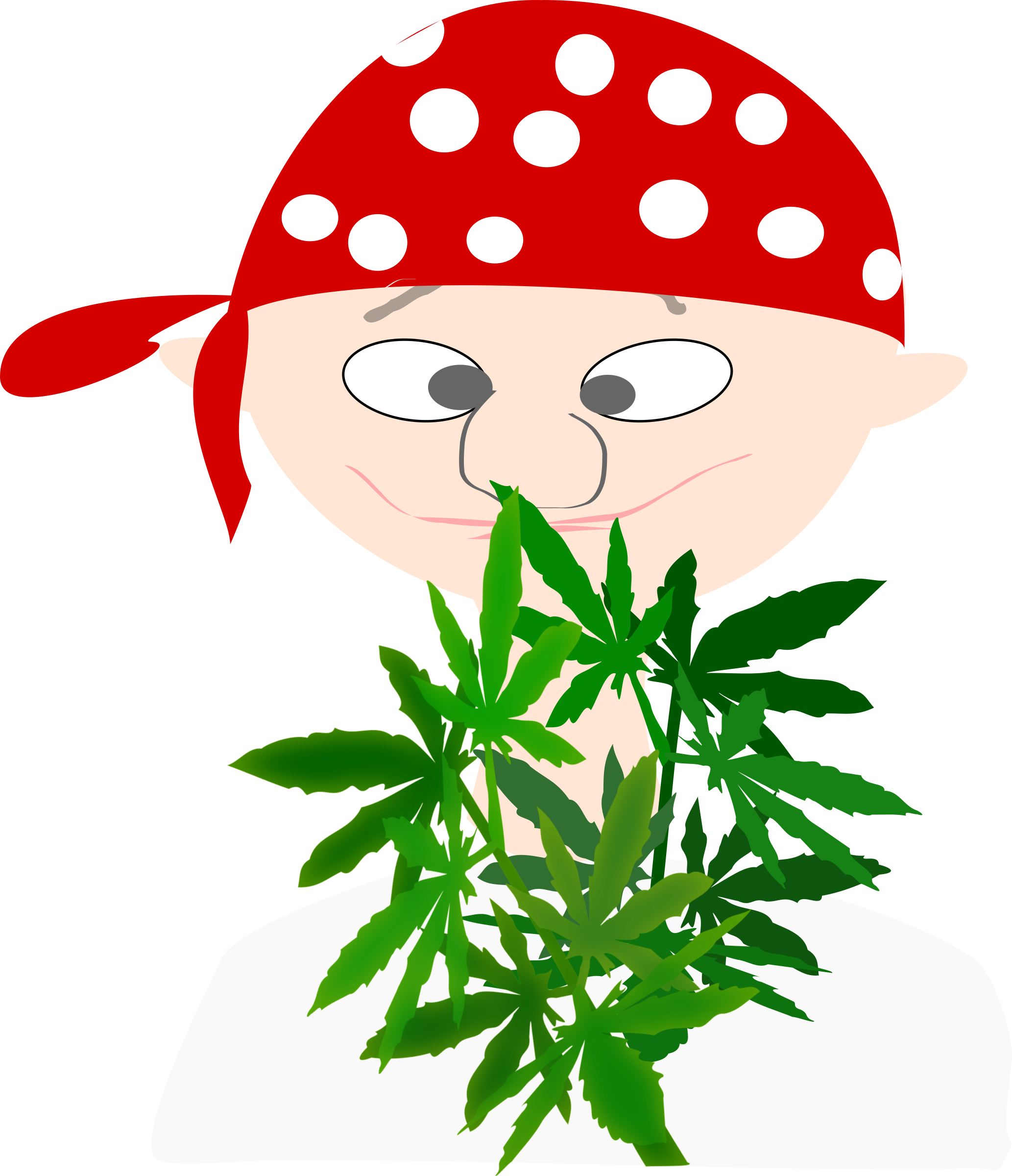 Herb Botanist Mj 999px 277 - Png Kartun Marijuana (2066x2400)